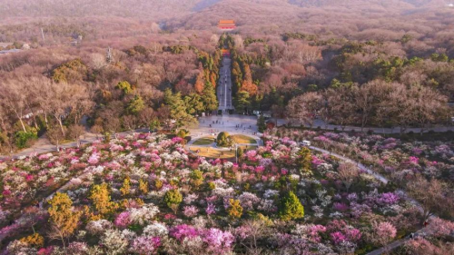 锦江之星｜收下这份《春日赏花图鉴》，一起奔赴花海吧！