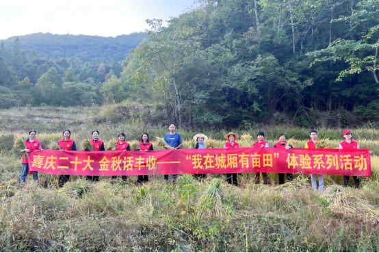 1680142560840801.png