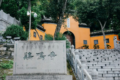 白玉兰酒店|世界读书日与书相伴，行以致远1