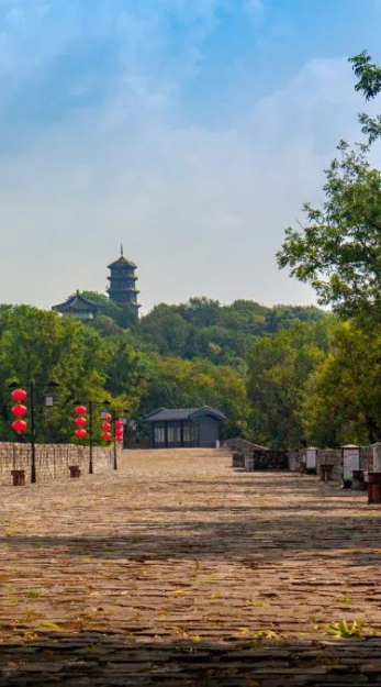 白玉兰酒店|世界读书日与书相伴，行以致远1