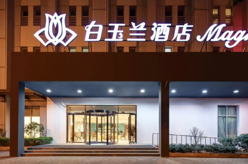 白玉兰酒店|世界读书日与书相伴，行以致远1