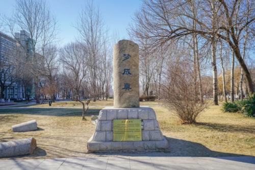 白玉兰酒店|世界读书日与书相伴，行以致远1