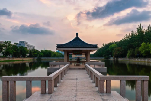 白玉兰酒店|世界读书日与书相伴，行以致远1