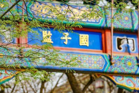 欢乐时光 | 白玉兰酒店亲子游，让孩子与你共度美好时光！