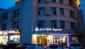 欢乐时光 | 白玉兰酒店亲子游，让孩子与你共度美好时光！