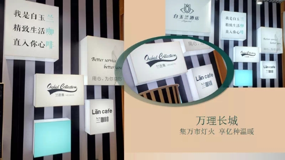 大放异彩！白玉兰获轻中端酒店影响力品牌