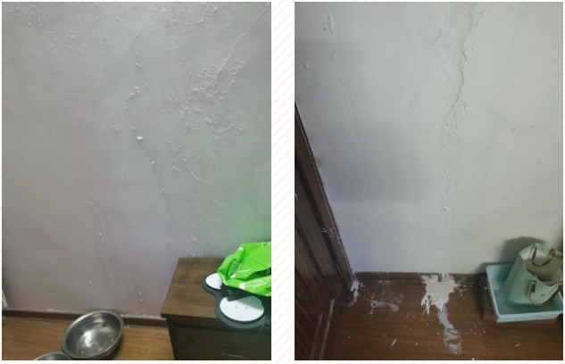 快处快赔 服务周到——“沪家保”理赔案例分享